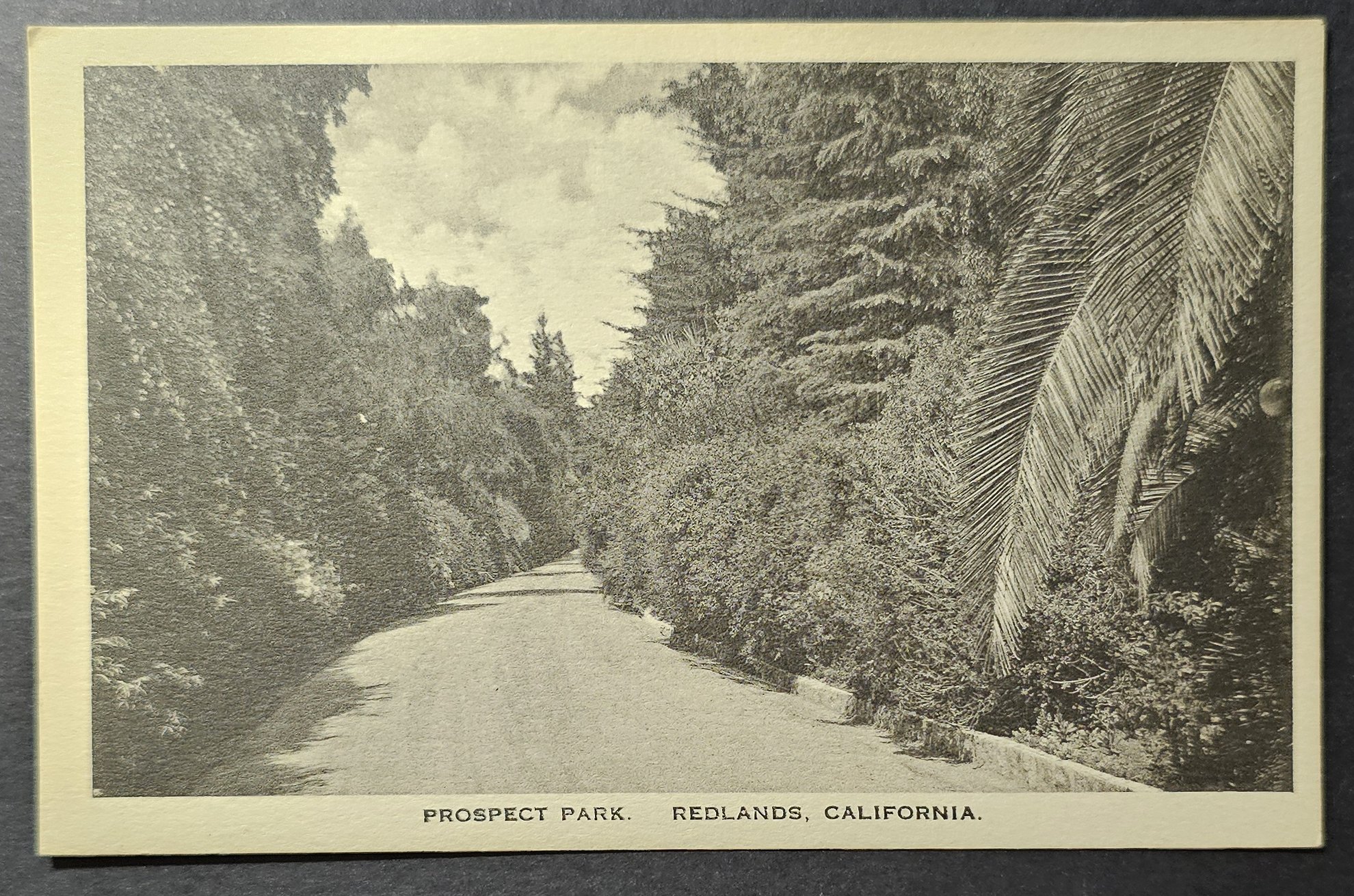 (image for) postcard USA - CA - California #0110
